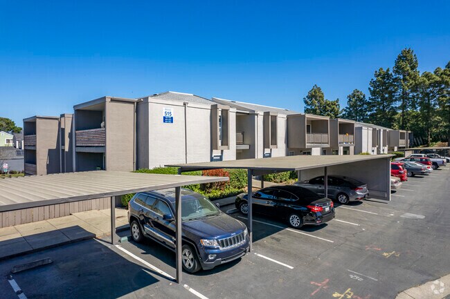 Bayside Apartments