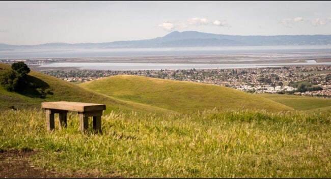 Photo - 231 Goldback Ct