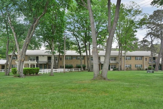 The Pines - The Pines