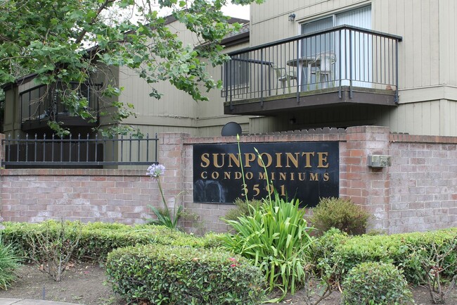 One Bedroom Condo In Sunpointe Condominiums. - One Bedroom Condo In Sunpointe Condominiums.