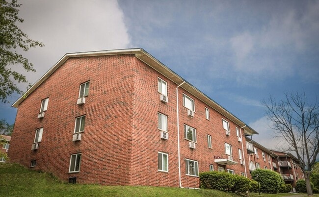 Anthos at Vestal