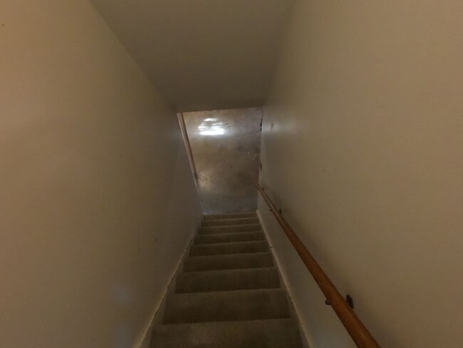 Photo - Beautifully remodeled 3 bed 2.5 bath house in Broomfield