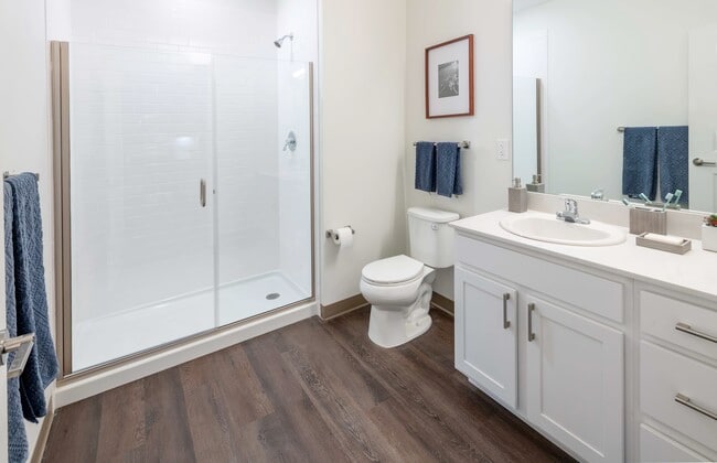 Photo - Axis at Ansel