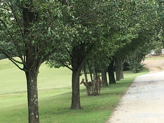 Photo - 174 Schools Dr