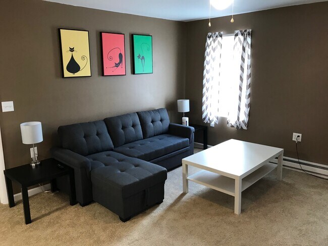 LIVING ROOM - 123 W Broadway Apartment Unit 1