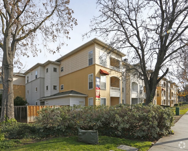 Photo - Italian Gardens