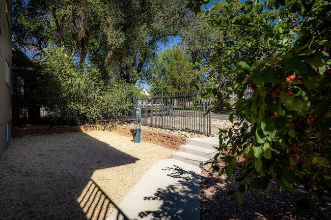 Jasmine Springs | Walkway to Street - Jasmine Springs