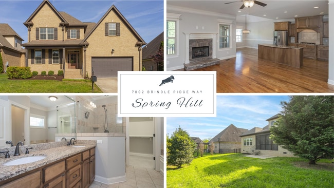 Building Photo - 7002 Brindle Ridge Way