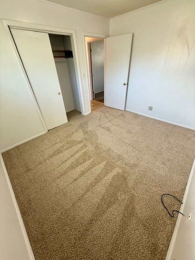 Photo - Newly remolded kitchen, flooring and paint...