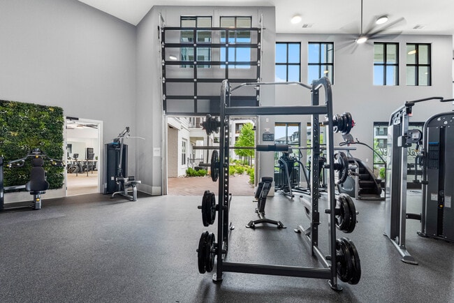 Gimnasio