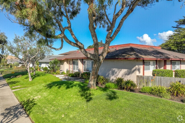 Marina Del Sol Apartments