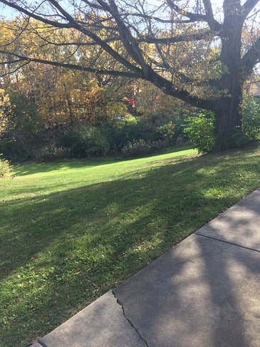 complex back yard - Harbauer Lane Townhomes
