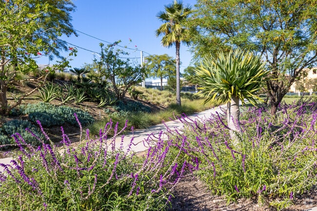 Senderos para caminar - Suncrest at Ponte Vista