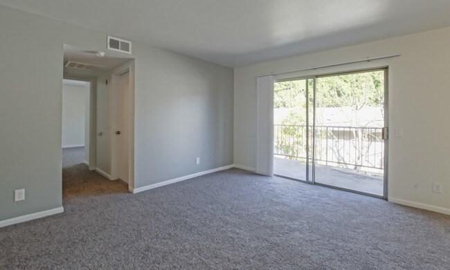 Photo - Bamboo Garden