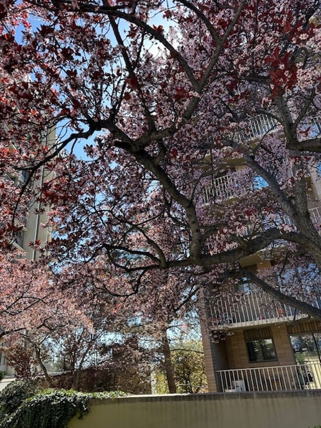 Photo - Gorgeous Penthouse in the heart of SLC!!!