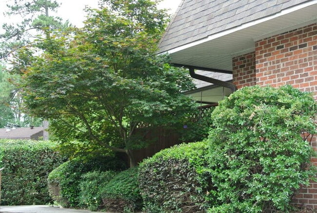 Building Photo - 200 Finley Forest Dr