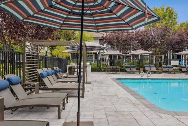 Photo - Sofi Berryessa