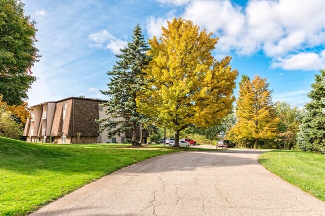 Alpine Village Apartments