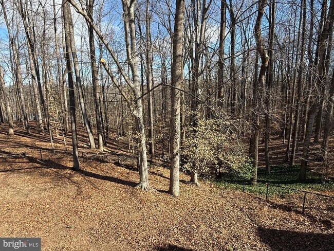 Photo - 12003 Skipjack Ct