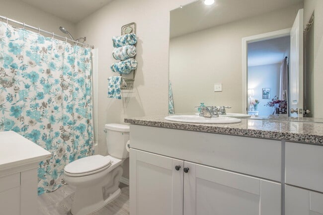 Photo - 2527 Pechora Pipit