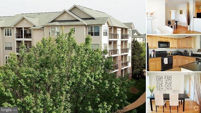 Building Photo - 1600 Spring Gate Dr. Unit 2303 Rental