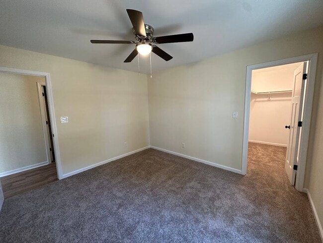 Photo - Did you say BRAND NEW