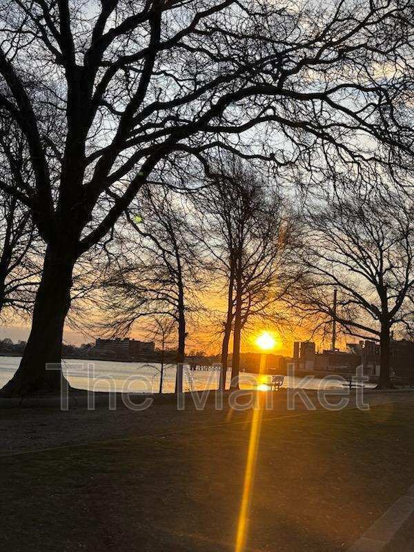 Photo - 75 Avalon Ave