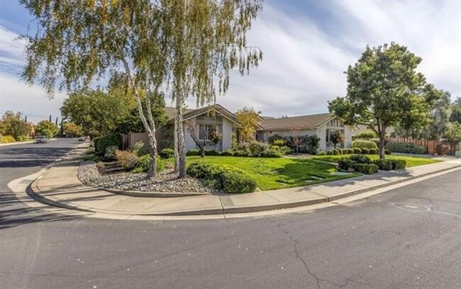 Photo - Private and Sizable 4BD/3BA Single Story Home in Livermore South, Easy Commute to 580 & 84!