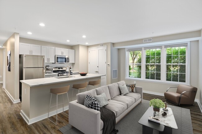 Renovated Kitchen and Living Spaces