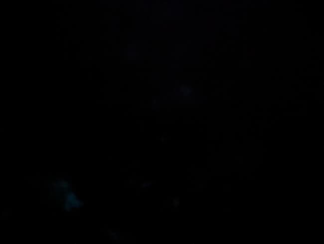 Photo - 8125 Bayou Bend Blvd Unit Home