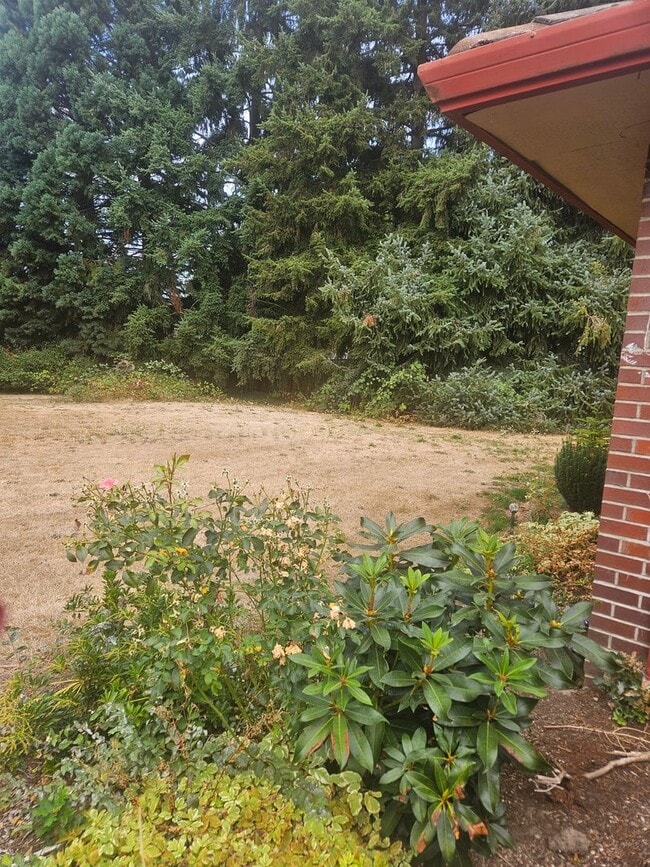 Photo - Spacious 4 bedroom/4 bath home on 1.5 acres