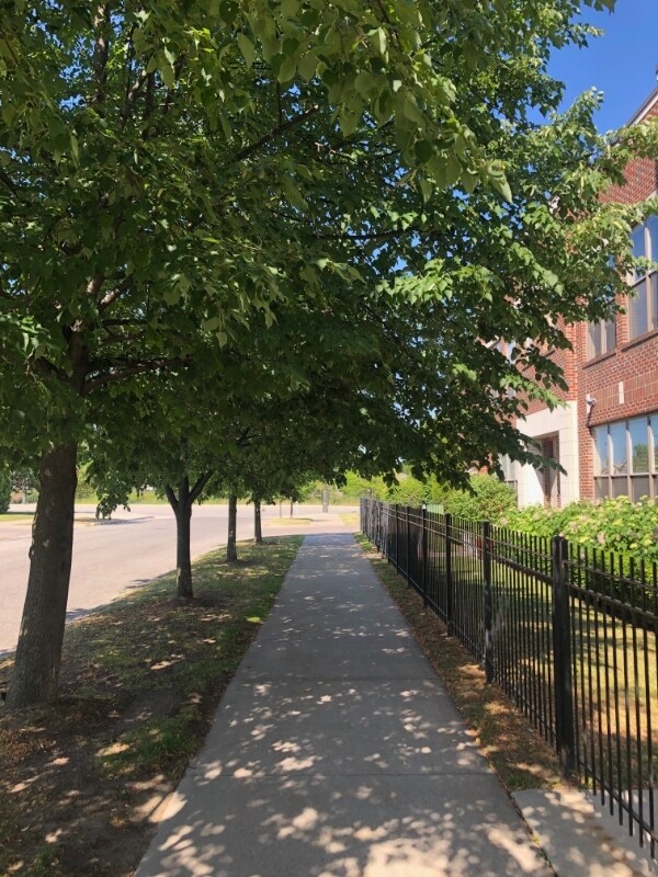 Photo - 25 Pallister St Casa Adosada