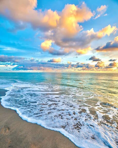 Photo - 3600 N Ocean Dr Unit 125
