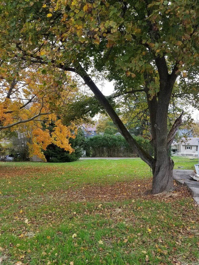 Photo - 207 Midway Ave