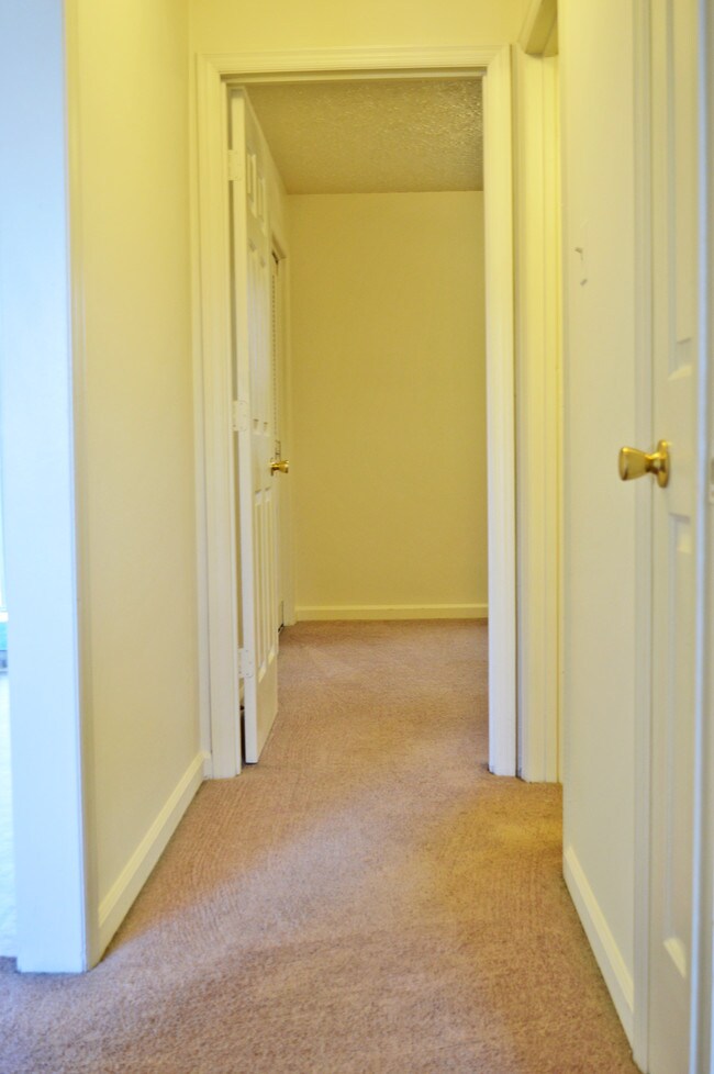 Photo - Village Court