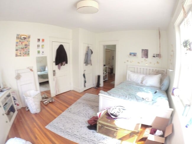 Photo - 241 Freeman St