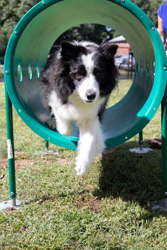 Sunset Rock Apartments Plainville, CT