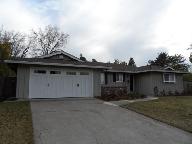 houses for rent that allow large dogs