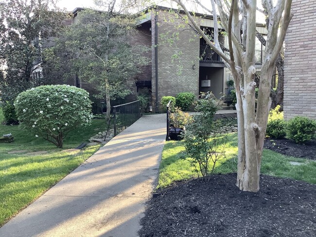 Belle Meade Condo for Rent! - Belle Meade Condo for Rent!