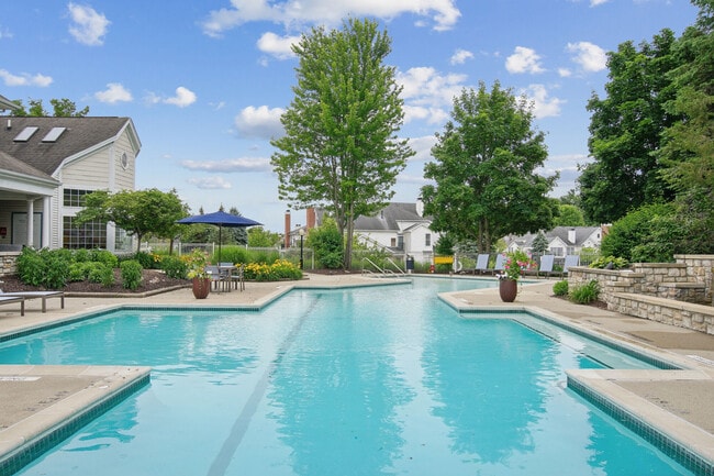 The Chapman apartments — community photo