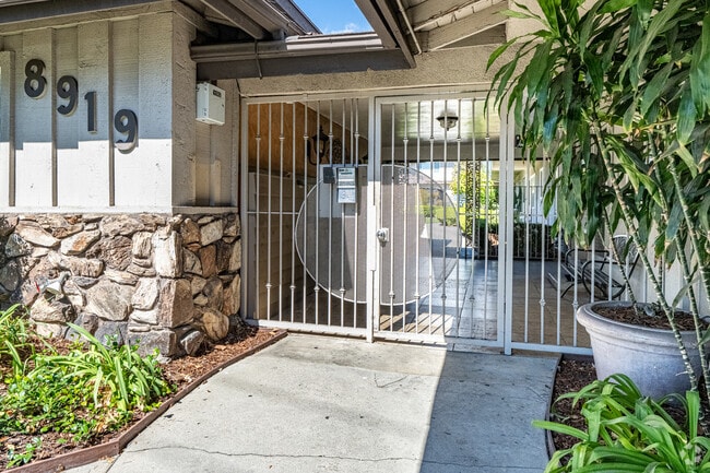 Entrance - Evergreen Pine
