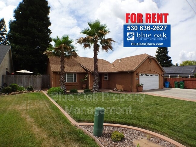 Photo - 1011 Lupin Ave House
