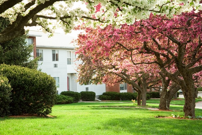Ridgecrest Village: The Terrace