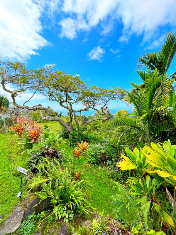 81-6467-6467 Hawai?i Belt Rd Unit 1