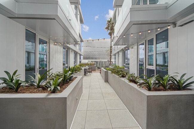 Photo - Willow Santa Monica