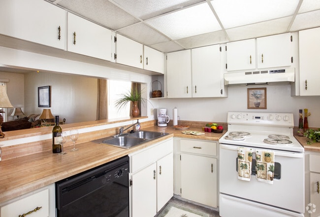 1BD/1BA - 786 SqFt - Kitchen
