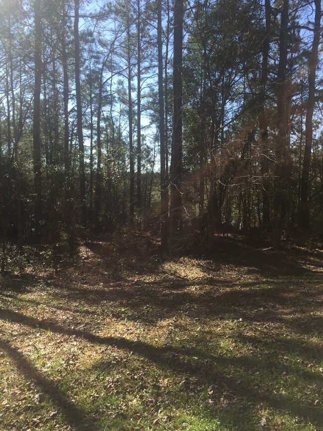 Building Photo - 1158 Burt Loop Rd