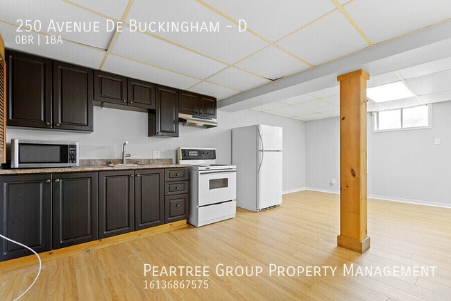 Building Photo - Beautiful Buckingham Basement-Studio for Rent-Newly Renovated Unit D