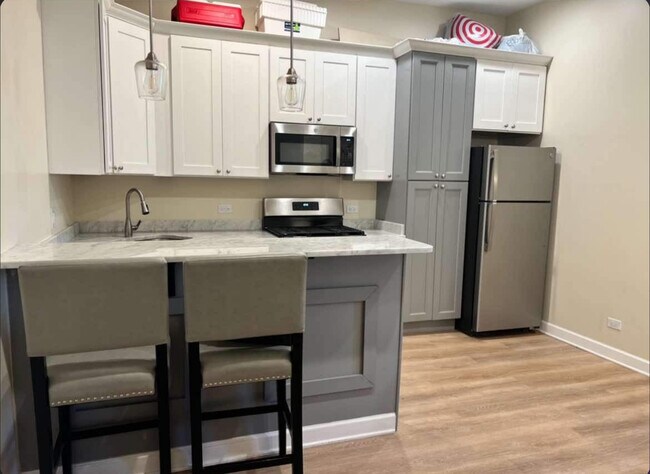 Photo - 1834 S Blue Island Ave Unit 3