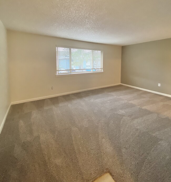 Spacious Living - 5906 158th Avenue Ct E Apartments Unit C